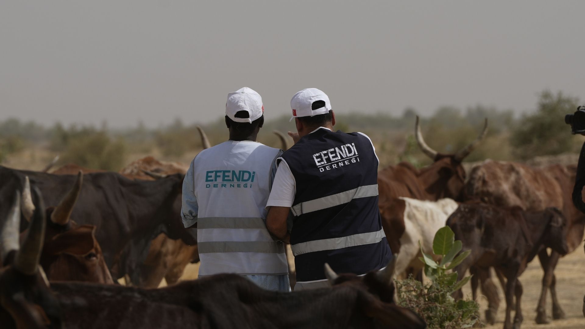 kurban bağışı 2026